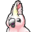 Cockatoo logo
